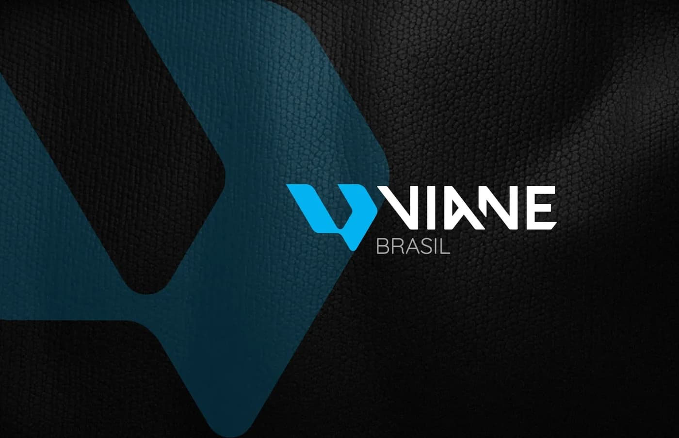 Viane Brasil — identidade visual